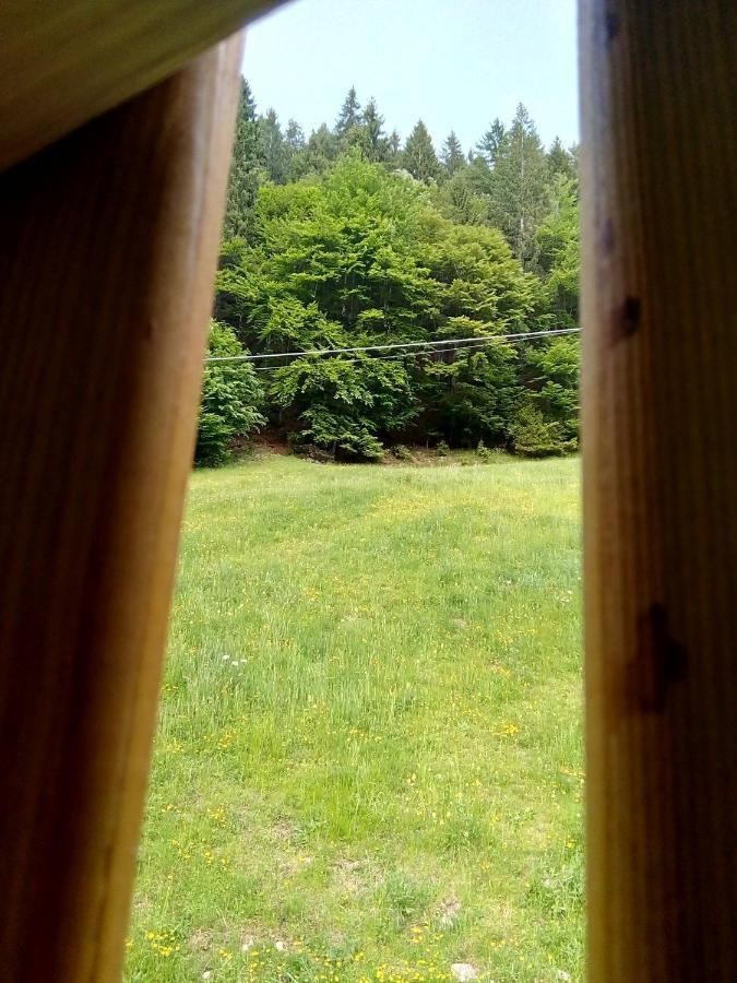 B&B Pra' Dei Cervi Telve Exterior foto